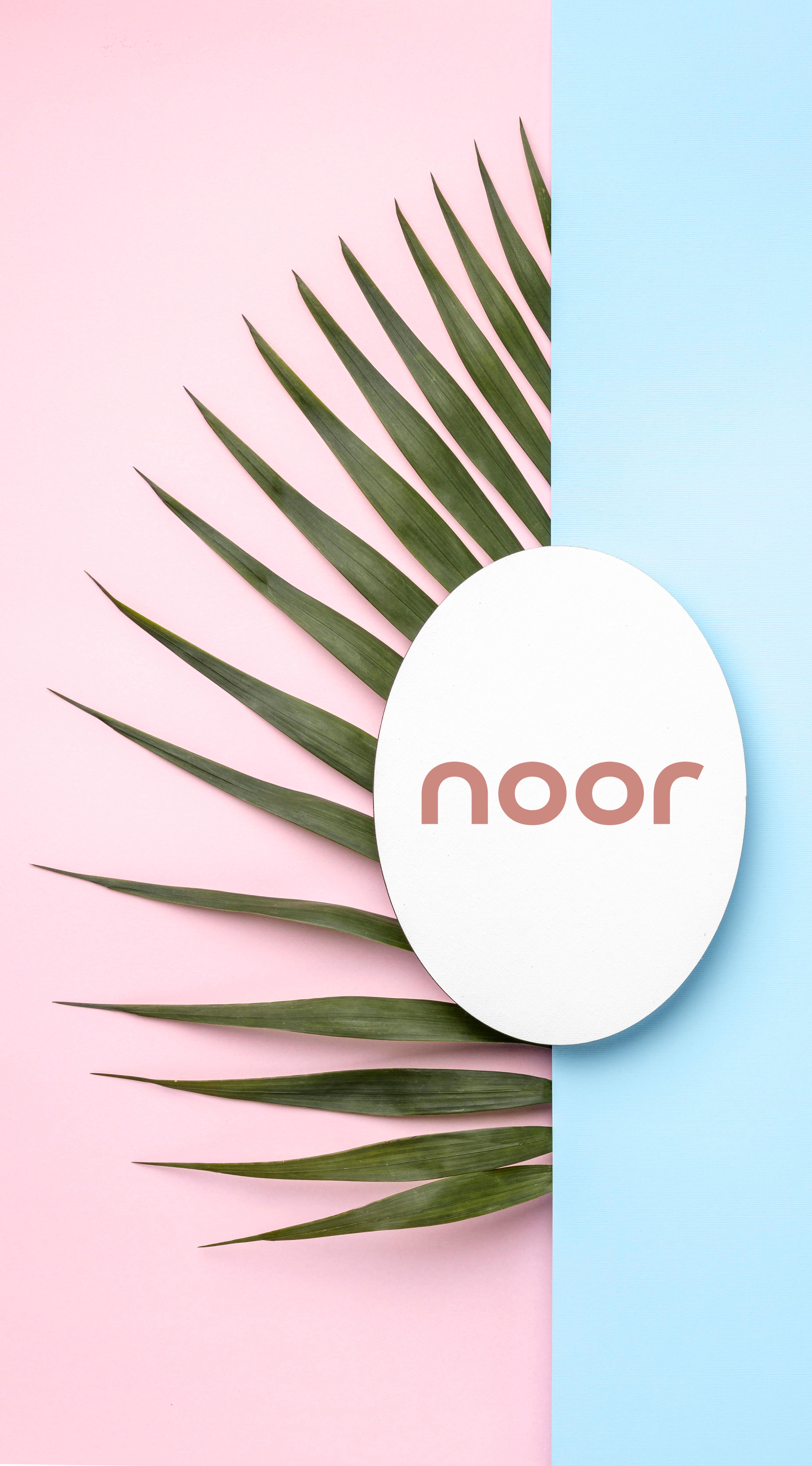 Noor case study image