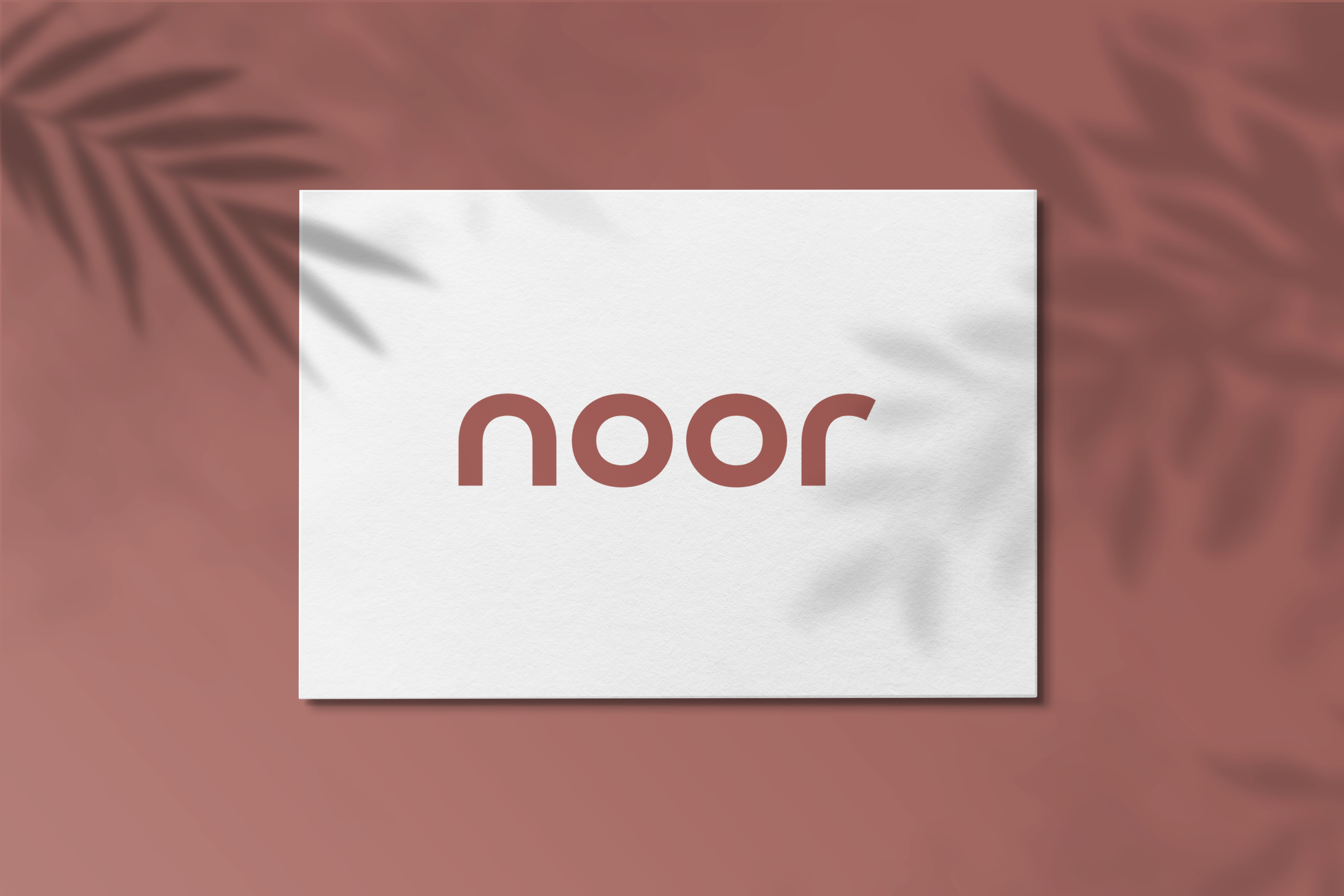 Noor case study image